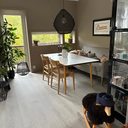 Modern & Cozy House Villa