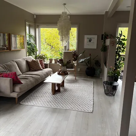 Modern & Cozy House Villa *