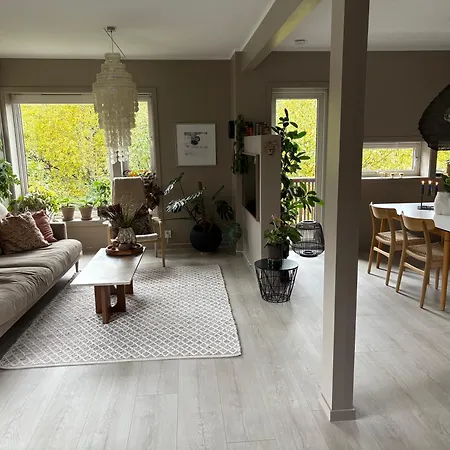 Modern & Cozy House Villa *