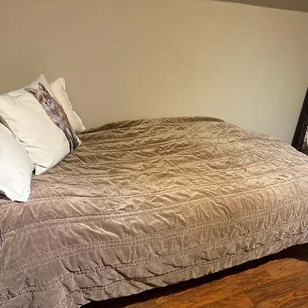Modern & Cozy House 特隆赫姆