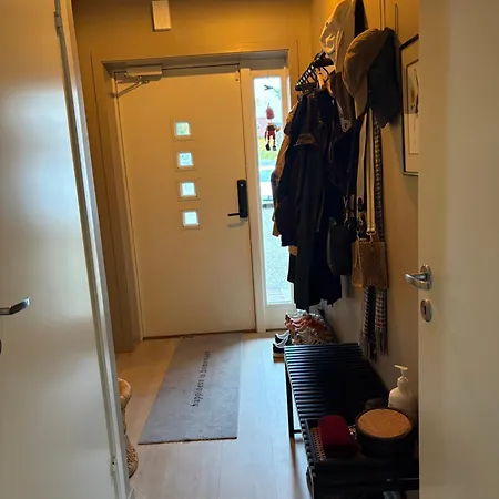 别墅 Modern & Cozy House